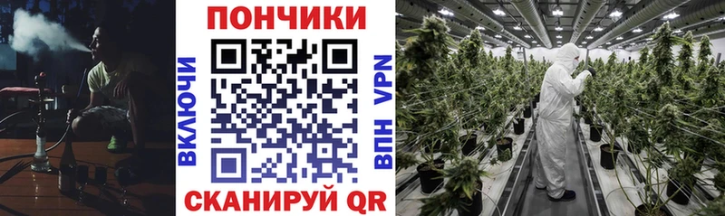 Шишки марихуана гибрид Таштагол